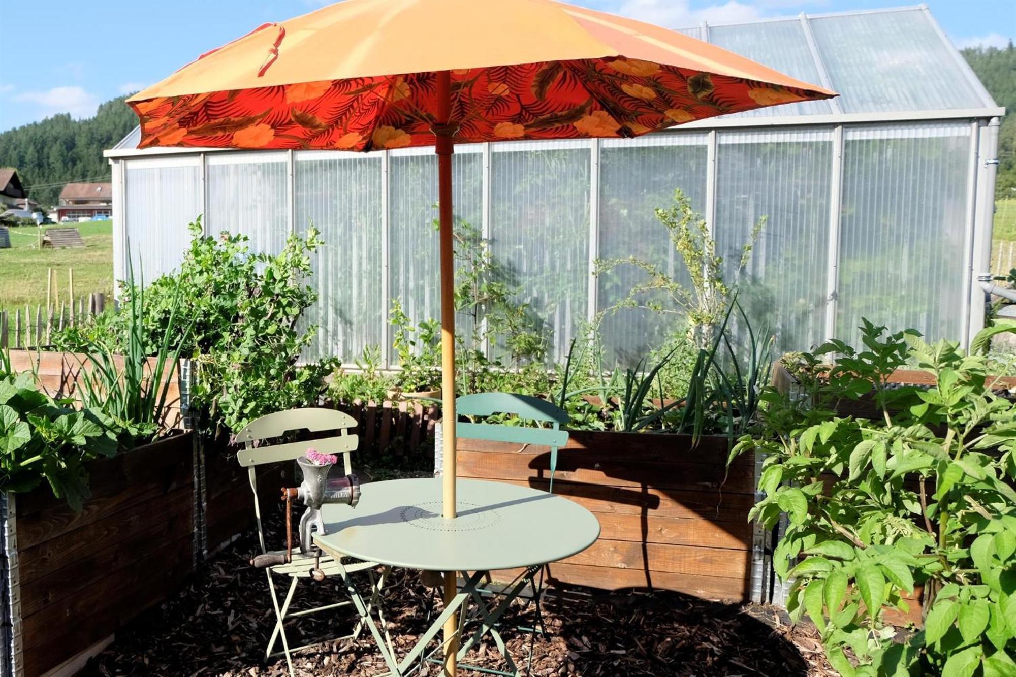 Schwarzwild - Ferienwohnung Und Ferienzimmer Baiersbronn Ngoại thất bức ảnh