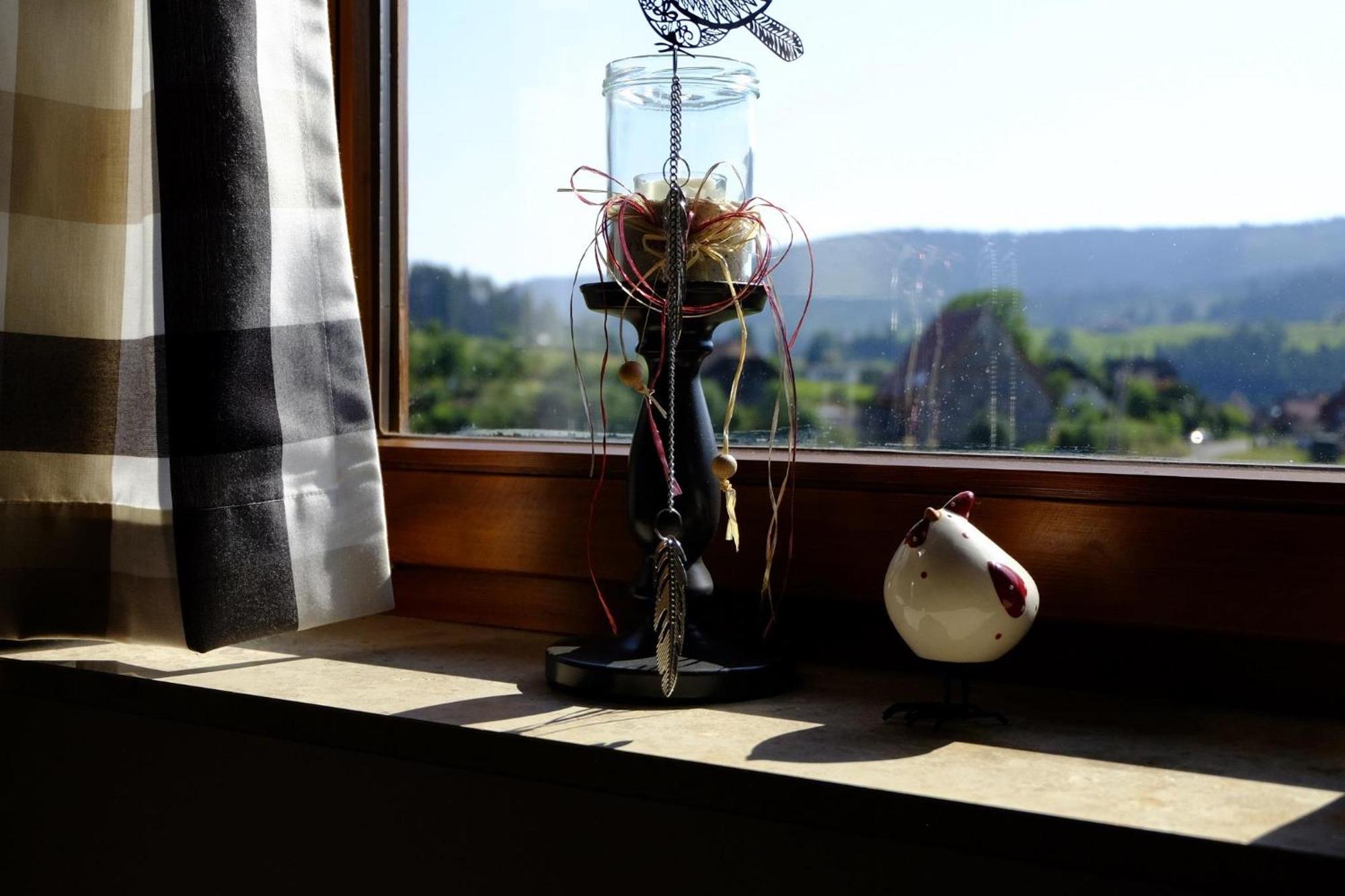 Schwarzwild - Ferienwohnung Und Ferienzimmer Baiersbronn Phòng bức ảnh